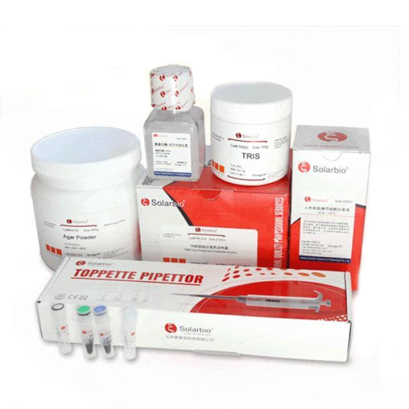 绿色荧光核酸染料(10000×)