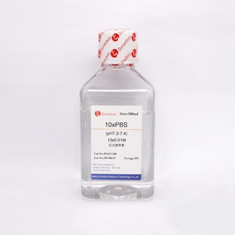 10×PBS缓冲液