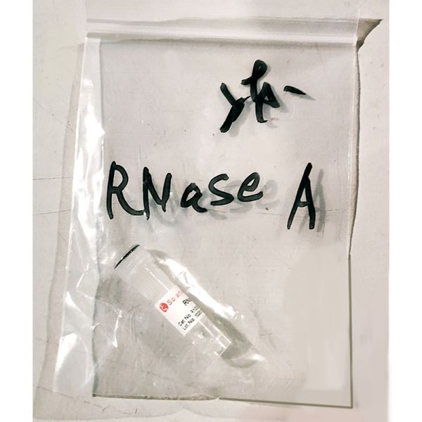 RNase A溶液