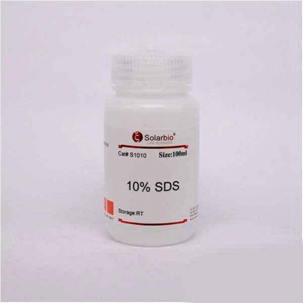 10%SDS溶液