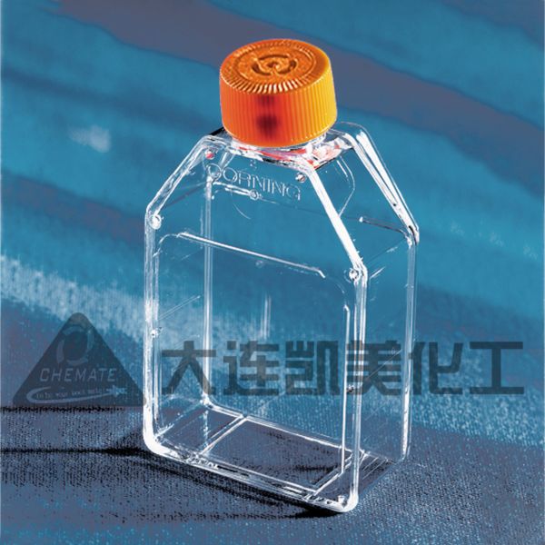 正方透气盖斜口细胞培养瓶