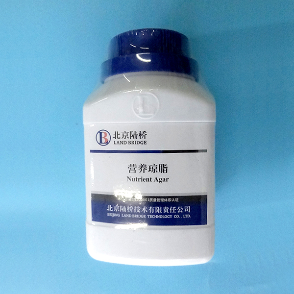 NA营养琼脂
