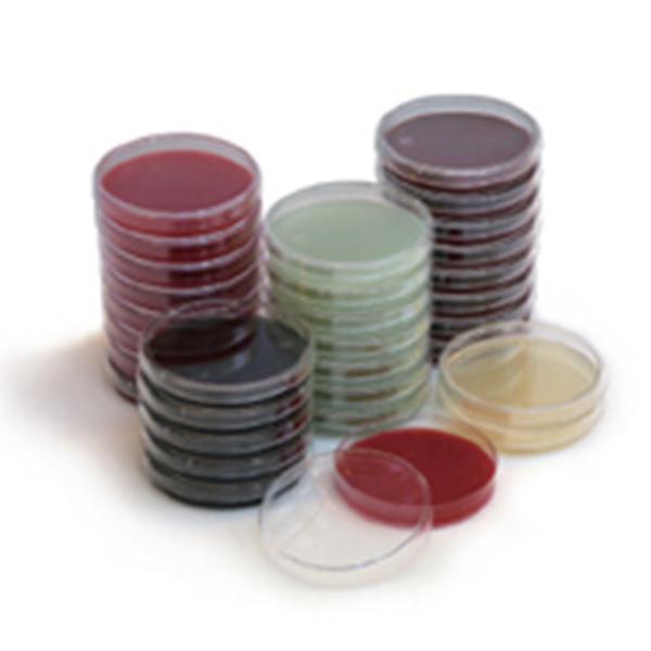 血琼脂平板（有效期:4~10月份-2个月，11~次年3月份-3个月）