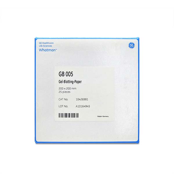 Whatman GB005杂交纸