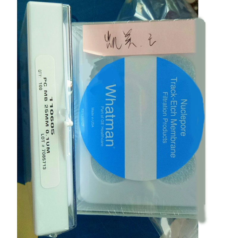 Nuclepore 聚碳酸酯径迹蚀刻膜