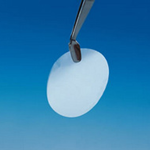 Nuclepore径迹蚀刻膜